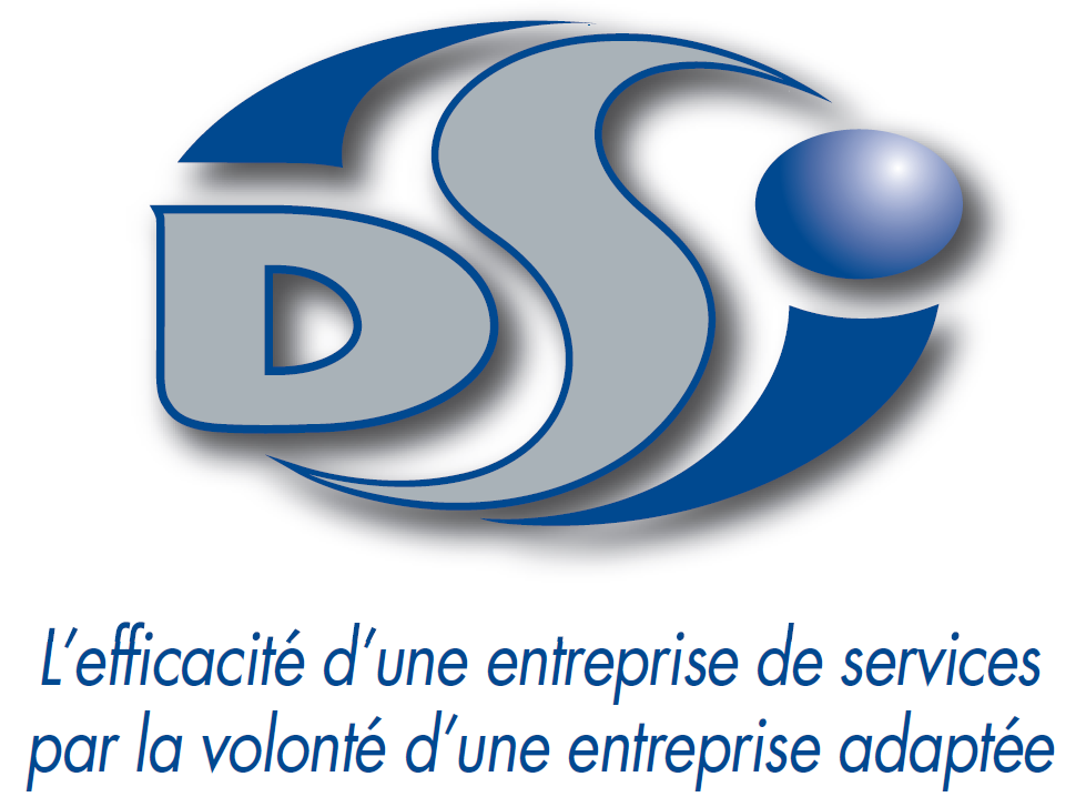 DSI 2015