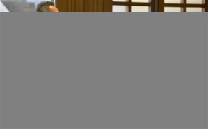 CD HG 30 06 2016 (7)